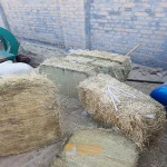 Buy Quality Grade 100% Wheat Straw Hay Packed In 390kg Bales from Velman  Agro, Spain