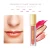 Import Private Label color make up  liquid  gloss wholesale new golden makeup luxurious moisture lip gloss from China