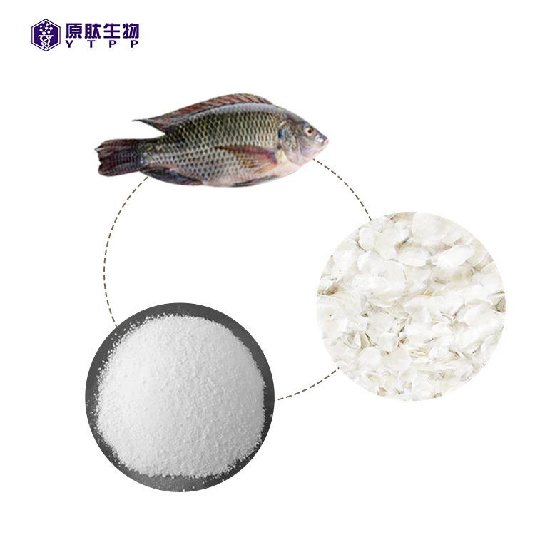 private label pre workout health supplement natural fish collagen elastin type 1 and 2 peptide granule