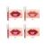 Import Professional  lasting moisturizing cosmetics makeup set lipstick red lip gloss matte lipstick waterproof from China