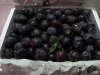 Quality Juicy Fresh / Dry Plums Now Available For Sale