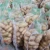 Import Quality Potato 2018 (Holland Seed, 100 Gram Plus) Pakistan from Pakistan