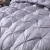 Import quilt wholesale china Luxury sateen fabric queen size goose down comforter from China