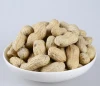 Raw Peanuts in shell price