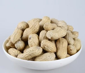 Raw Peanuts in shell price