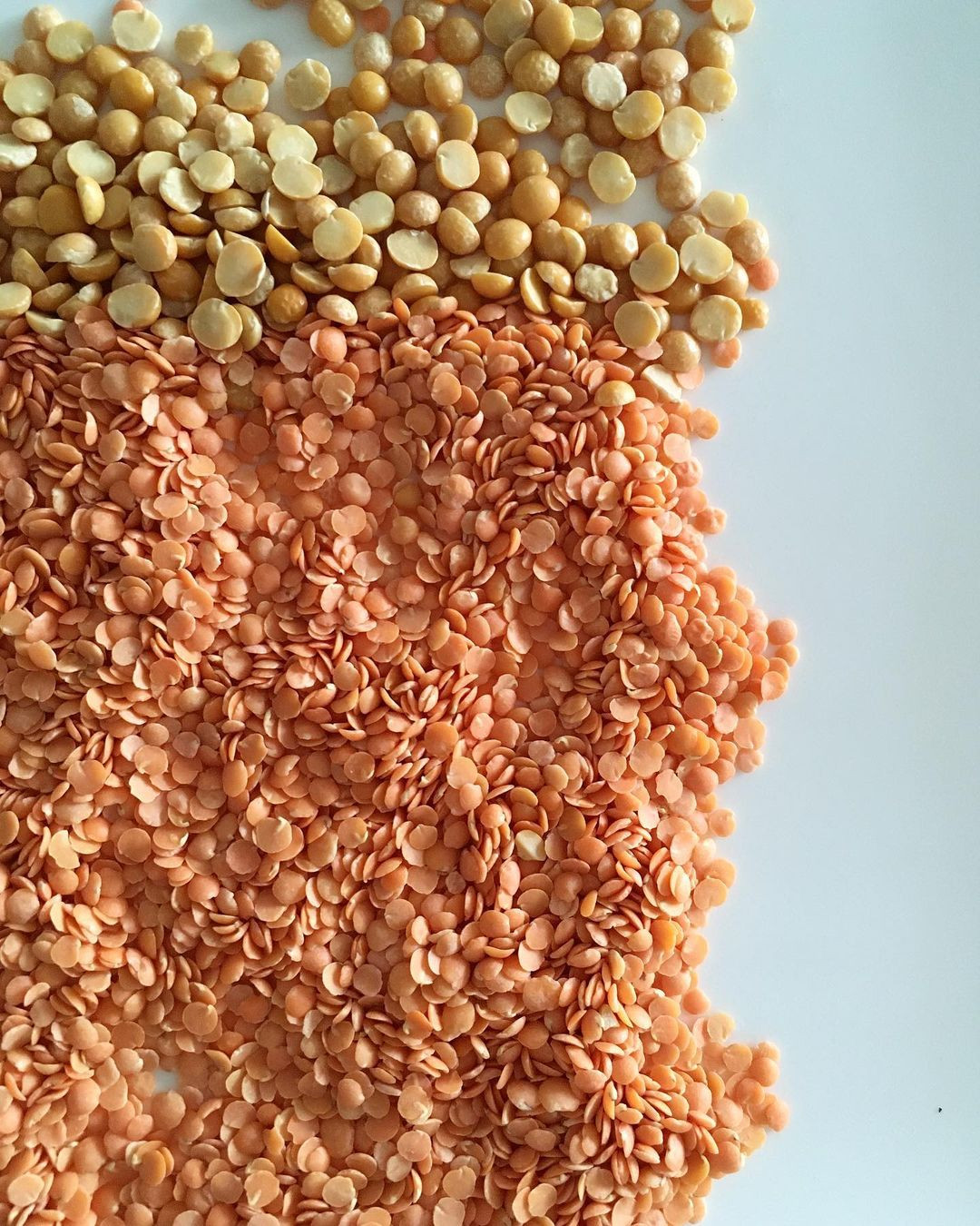 Buy Red Lentils/grains/whole And Split Lentils! from ROSEVIELD GROUP