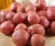 Import Red Skin Fresh potatoes from Bangladesh In Wholesale Price from Bangladesh