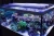Import Reef Tank Coral Led Aquarium Lighting Led Saltwater Aquarium Led Light from China
