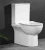Import Rimless Two Piece Toilet Water Closet Bathroom Set Toilet Bowl from China
