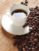 Roasted Java Coffee Bean