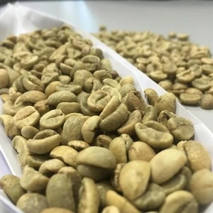 Robusta Green Coffee Bean S16