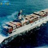 sea freight from china to united states