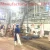 Import sheep meat skinning machine animal skin processing machine from China