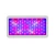 Import Shenzhen Dual Chip 600w 1200w 1500w 1800w 2000W Led Grow Light Full Spectrum Cob Led Grow Light for Indoor Growing from China