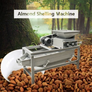 Shuliy Almond Crushing Machine cashew nut cracker hazelnut Shelling Machine