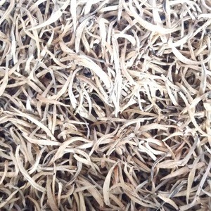 Silver needle white tea | Loose Leaf White Tea from Sri Lanka | Ceylon Silver tips tea Caffeine Level Low