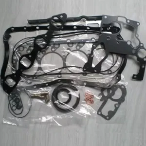 Sinotruk Spare Part Engine Needs Spare Parts Cylinder Head Gasket Vg1500040049