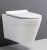 Import small size apartment European  P-trap Rimless flushing  wall hung toilet with UF/pp seat  cover from China