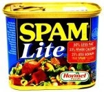 Spam Lite Hormel Canned Meat 340g
