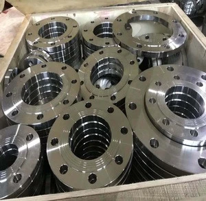 Stainelsee steel non-standardl flange