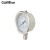 Import Stainless Steel Case 0-10kPa Gas Low Pressure Gauge with Brass Connector from China
