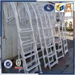 stainless steel swimming pool telescopic ladder steps