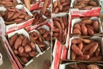 Sweet Potatoes