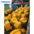 Import TOBEMAC Brand TB360-2C  italian concrete mixer machine made in china from China