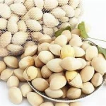 Top Quality Haccp Certified Frozen Ginkgo Nut