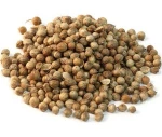 Top Quality Ukraine Origin Coriander Seeds for sales available!!!