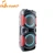 Import top quality wireless BT speaker with remote dual 12 inch trolley speaker system from China
