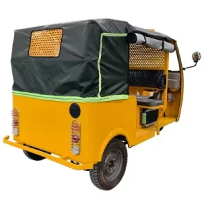 Top Supplier Wheel Electric Passenger Tricycle Tuk-Tuk for Sale in USA