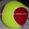 Training Tennis Ball