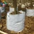 Import Tree planting grow bags / PP or Polyester Non woven geo bags / Geotextile bags from China