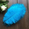 Turkey Feather 20-25cm White Natural Ostrich Feathers