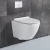 Import Various modern Italian design sanitaryware ceramic bathroom wall hung toilet from China