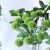 Import WENJIN Artificial Small Chrysanthemum Flower For Home Decoration Artificial Flower ball from China