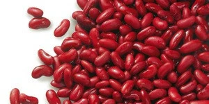 White Beans / Pinto Beans / Lima Beans