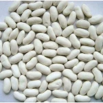white kidney beans / butter bean / white bean