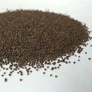 White Perilla Seeds / White Perilla Seeds Oil available