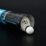 Whizz stout pole good quality YS-7 duck feather shuttlecock for amateur training