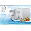 Wholesale 20 ft cold room container freezer vegetables cold storage room for sale