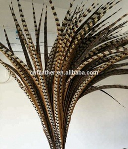 Wholesale AAA Quality 140-150cm Super Long Natural Reeves Pheasant Tail Feathers