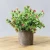 Import wholesale artificial flower pot plant desktop decorative green plant office plant with pot from China