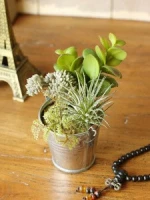 Wholesale artificial plants, home decoration