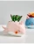 Import Wholesale Cartoon Animal Pot Kindergarten Shelf Personality Simulation Flower Pots For Plants Meaty Potted Decoration Flowerpot from China