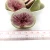 Import Wholesale FD Fruit with100% natural taste Good Quality Healthy Snack Freeze Dried FIG from China