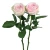 Import Wholesale Fresh Cut Flowers High Grade Cut Fresh Pink Avalache Roses from China