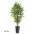Wholesale nearly natural plastic mini ficus tree artificial plant