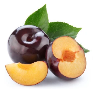 Wholesale Perfect Pact Fresh Plums sourced from family farms in the USA
